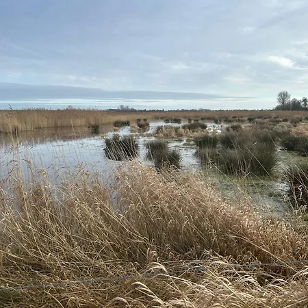 Seeliebe Butjadingen