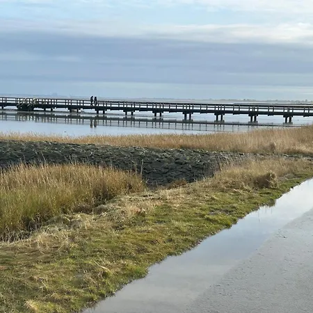 Seeliebe