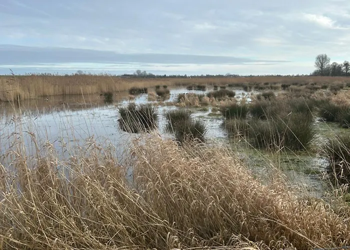 Seeliebe 布特亚丁根