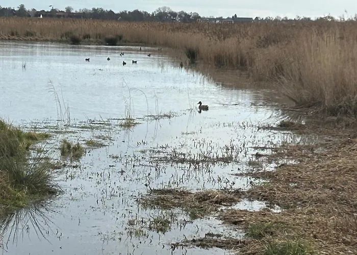 Seeliebe * 布特亚丁根