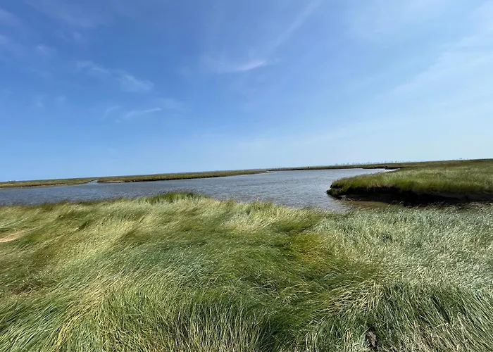 公寓 Seeliebe 布特亚丁根